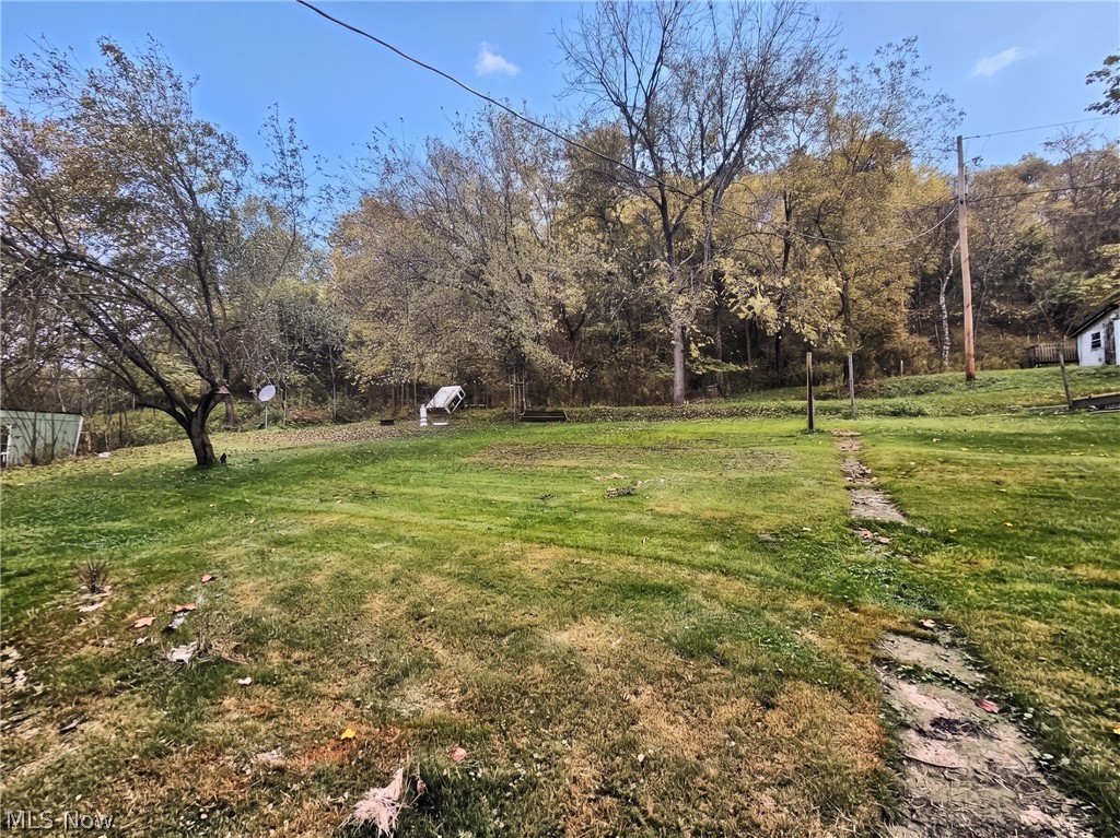 54 April Street Dillonvale OH 43917