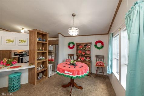 10 Cherry Lane Olmsted Twp OH 44138