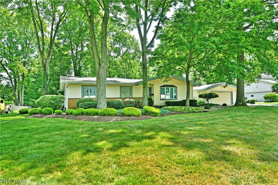 221 Southview Road Canfield OH 44406