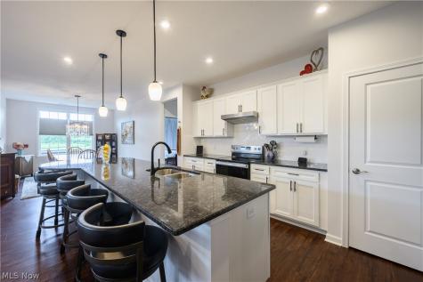 3130 Aspen Lane Twinsburg OH 44087