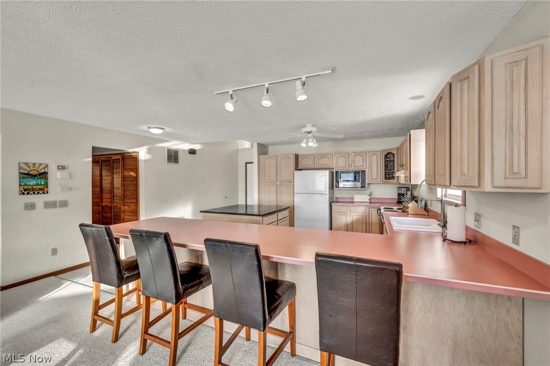 2528 Tupelo Drive Roaming Shores OH 44084