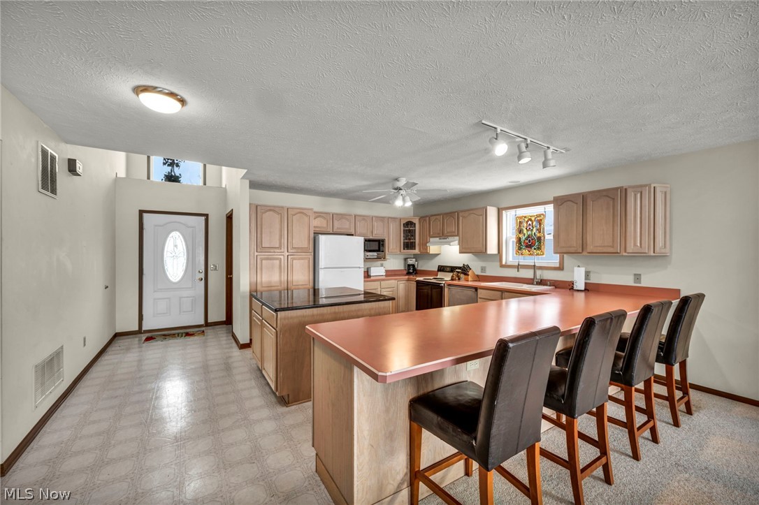 2528 Tupelo Drive Roaming Shores OH 44084
