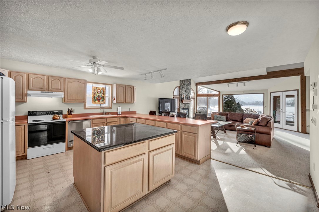 2528 Tupelo Drive Roaming Shores OH 44084