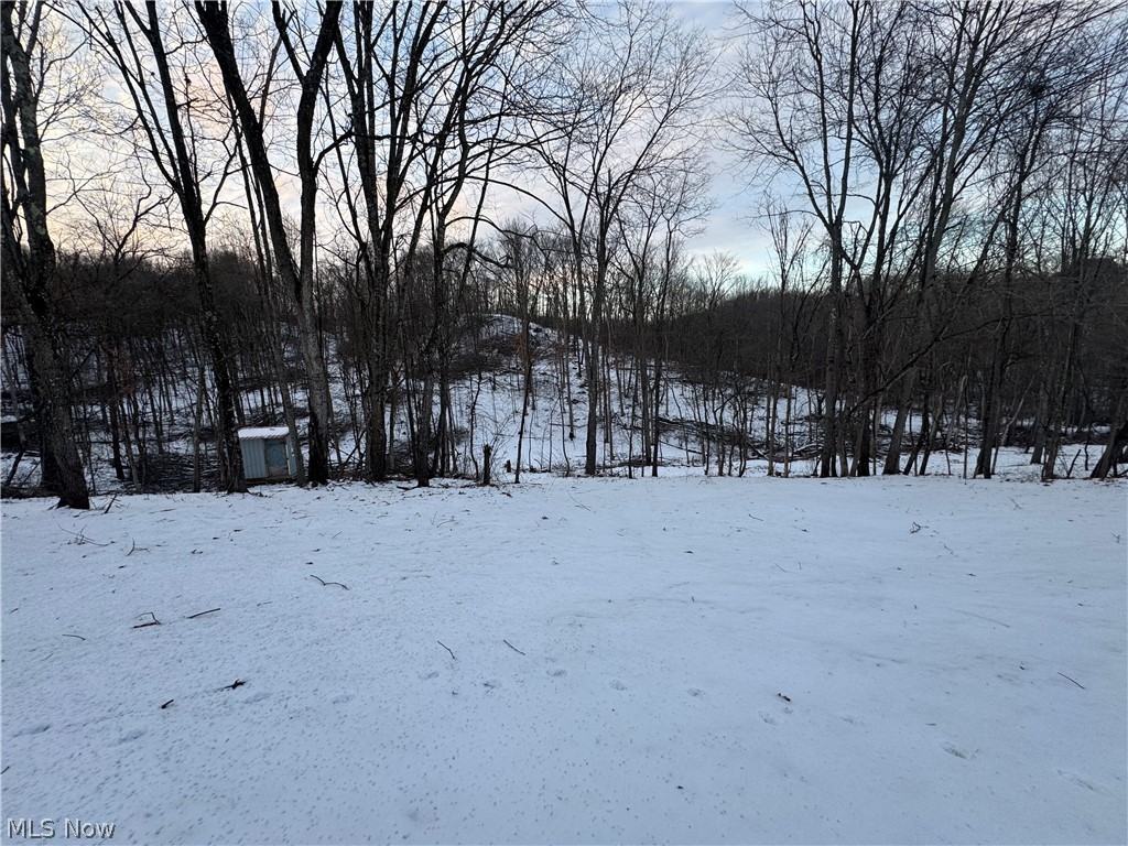 1105 Pacific Road NE Carrollton OH 44615
