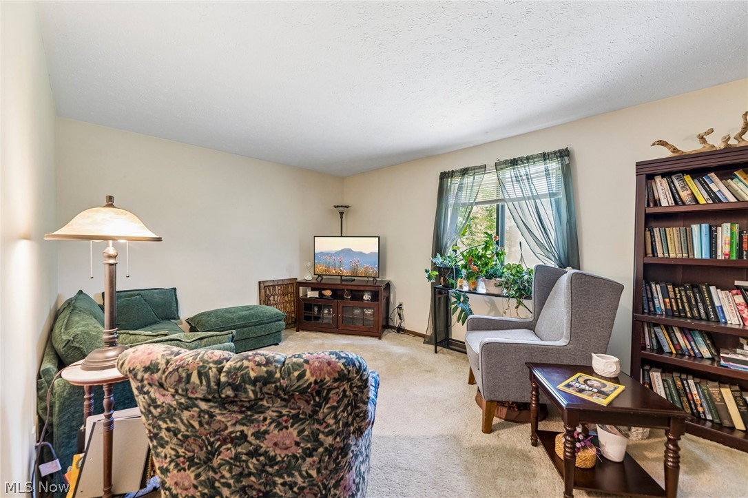 4905 Jody Lynn Drive Mentor OH 44060