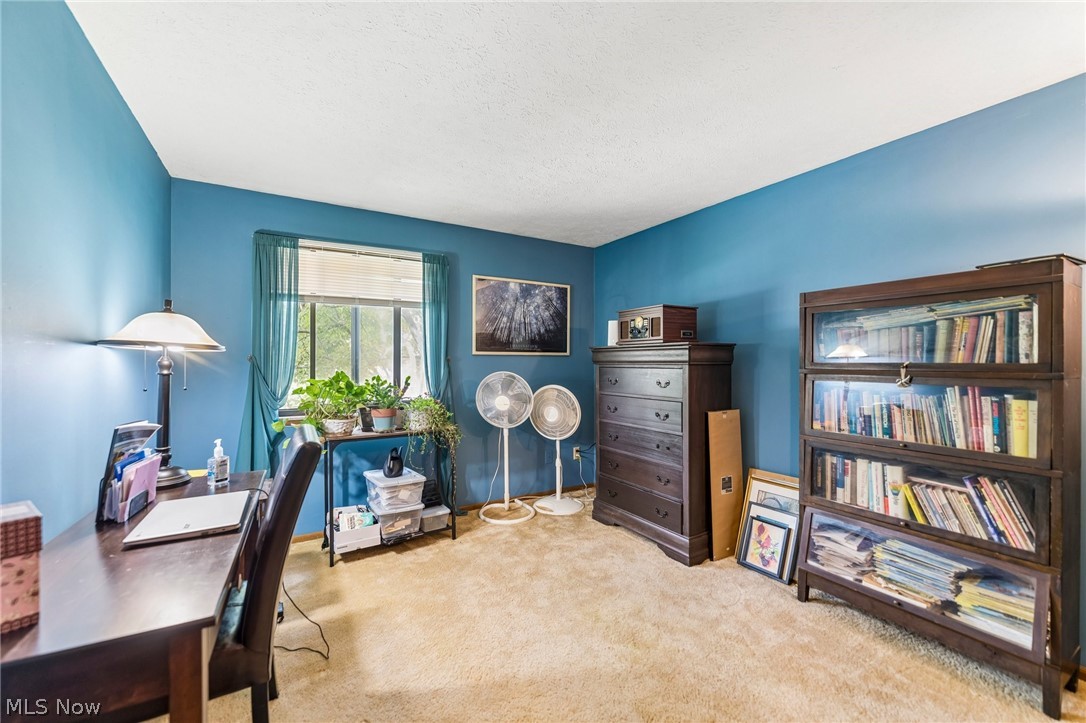 4905 Jody Lynn Drive Mentor OH 44060