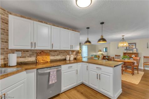 17 Trolleyview Lane Olmsted Twp OH 44138