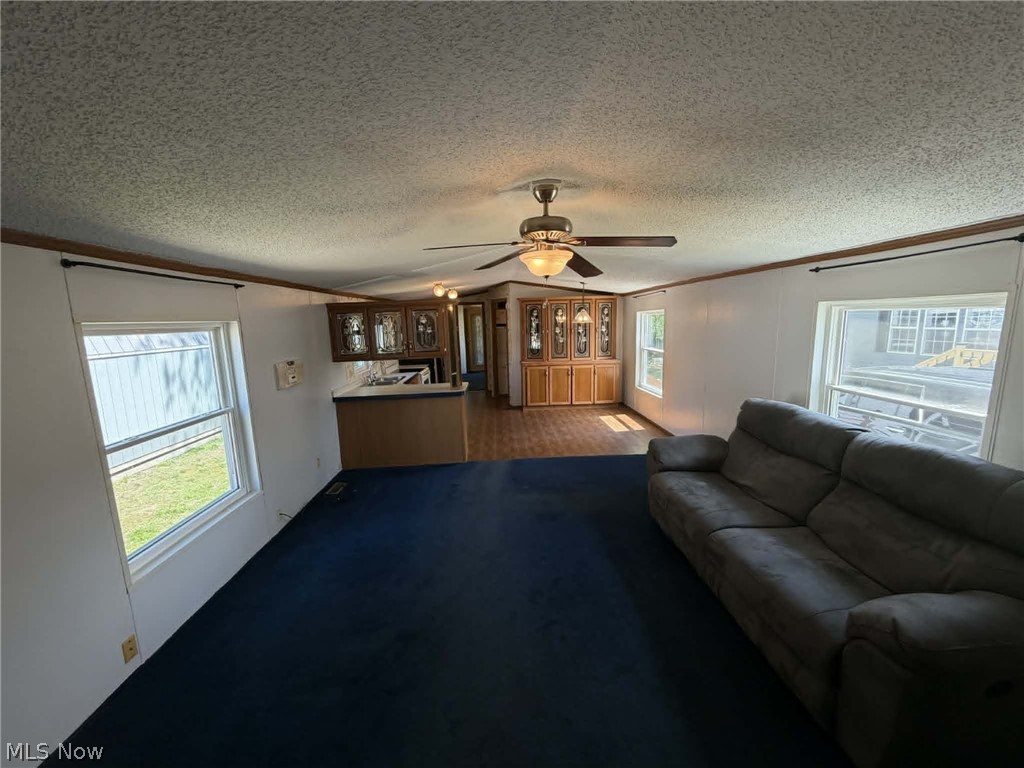 8 Hawaiian Drive Madison OH 44057