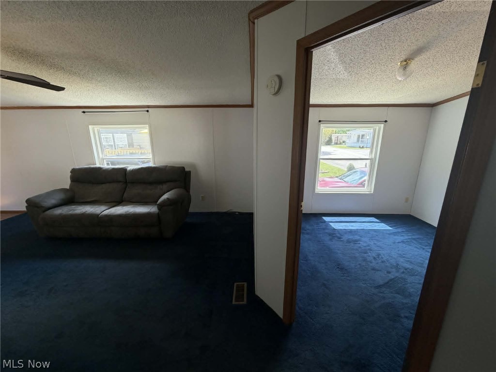8 Hawaiian Drive Madison OH 44057