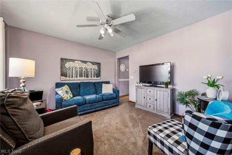 30190 Bonnie View Drive Wickliffe OH 44092