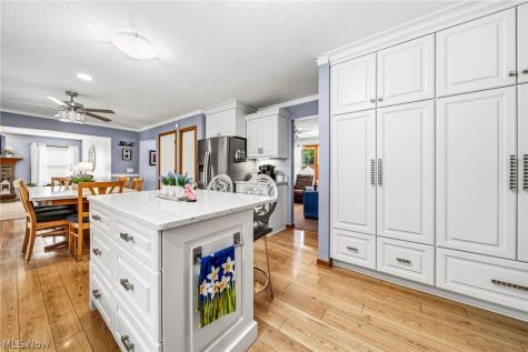 30190 Bonnie View Drive Wickliffe OH 44092