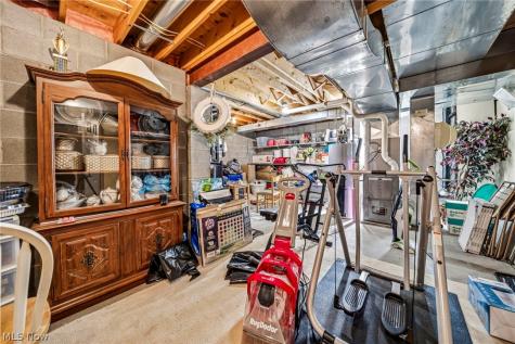 30190 Bonnie View Drive Wickliffe OH 44092
