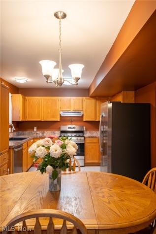 849 Derby Drive Painesville OH 44077