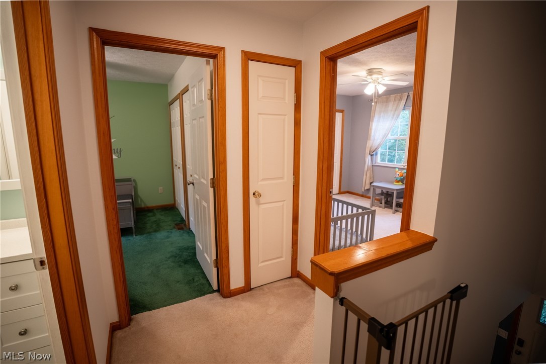 849 Derby Drive Painesville OH 44077