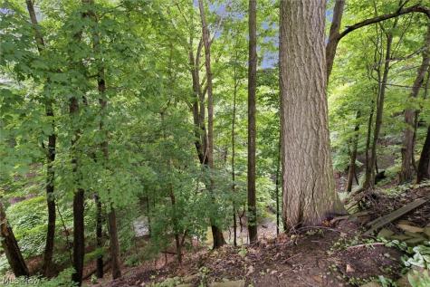 1351 N Circle View Drive Seven Hills OH 44131