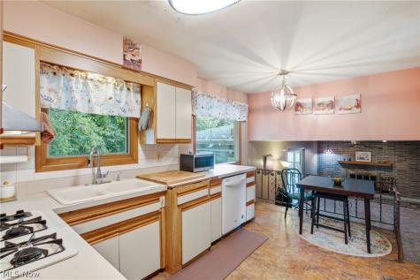 1351 N Circle View Drive Seven Hills OH 44131