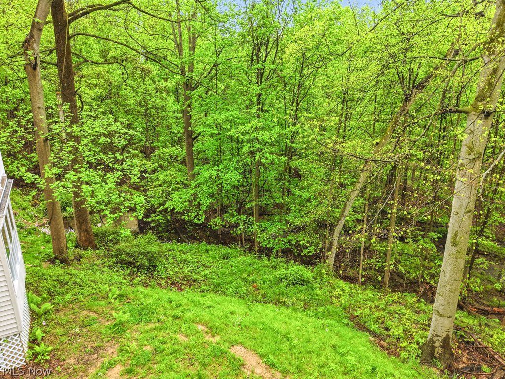 215 Forest Drive Bedford OH 44146