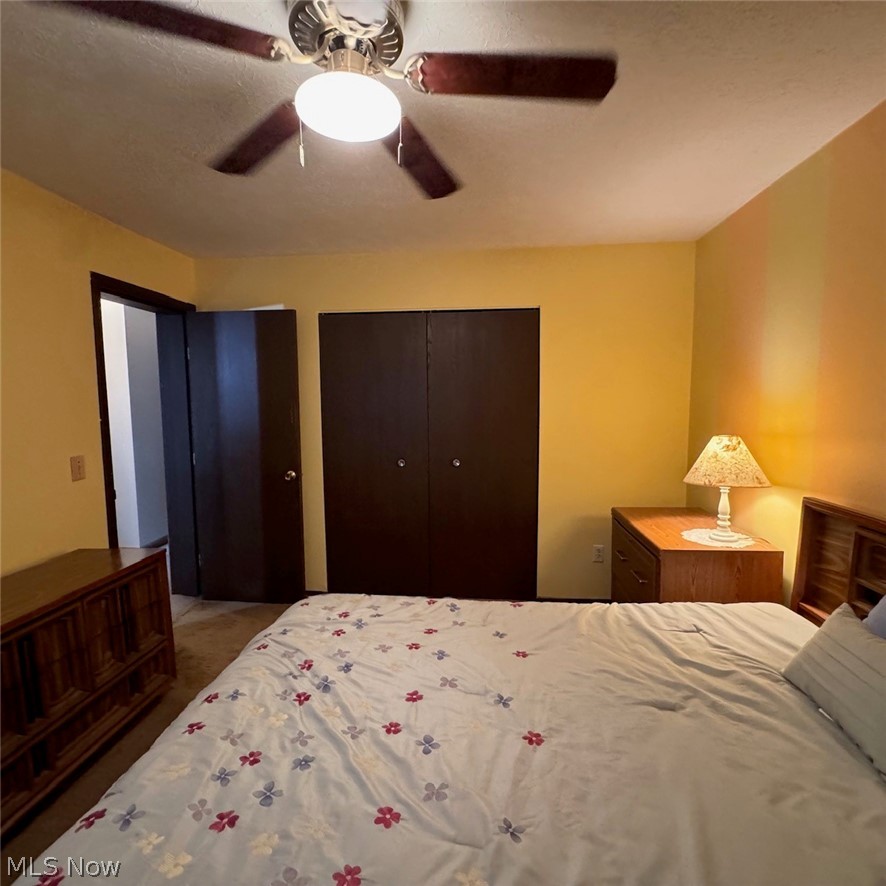 114 Sabetha Place Akron OH 44313