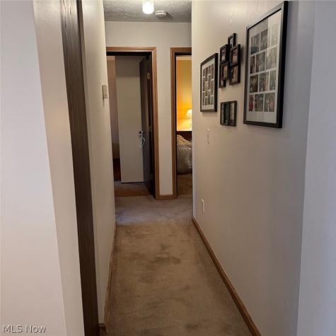 114 Sabetha Place Akron OH 44313