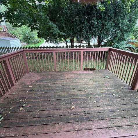 114 Sabetha Place Akron OH 44313