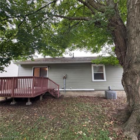 114 Sabetha Place Akron OH 44313