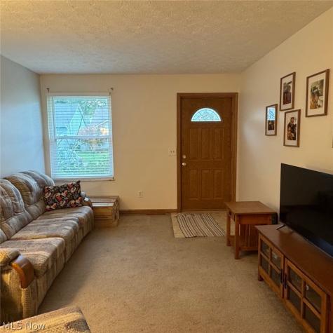 114 Sabetha Place Akron OH 44313