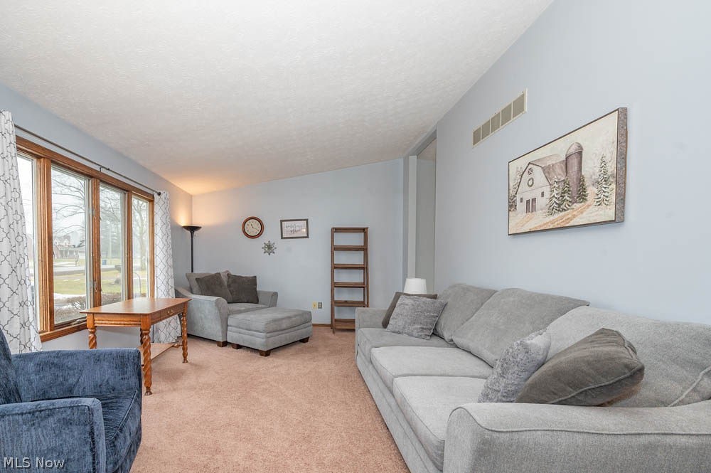 4957 E Calla Road New Middletown OH 44442