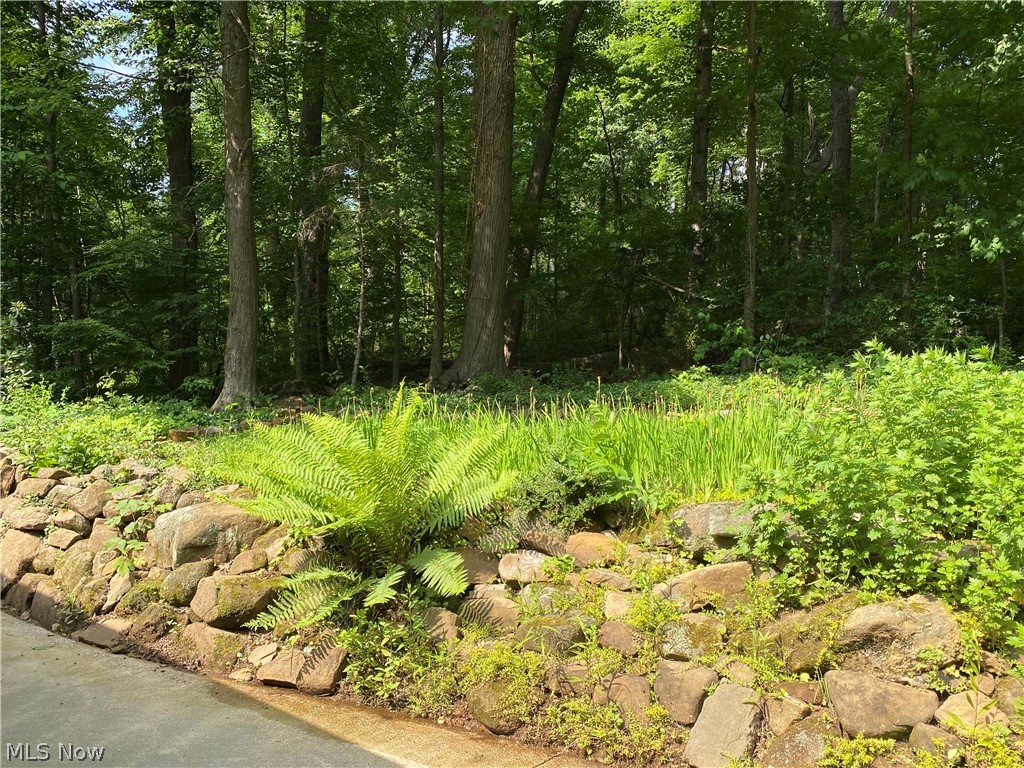 17079 Cats Den Road Chagrin Falls OH 44023