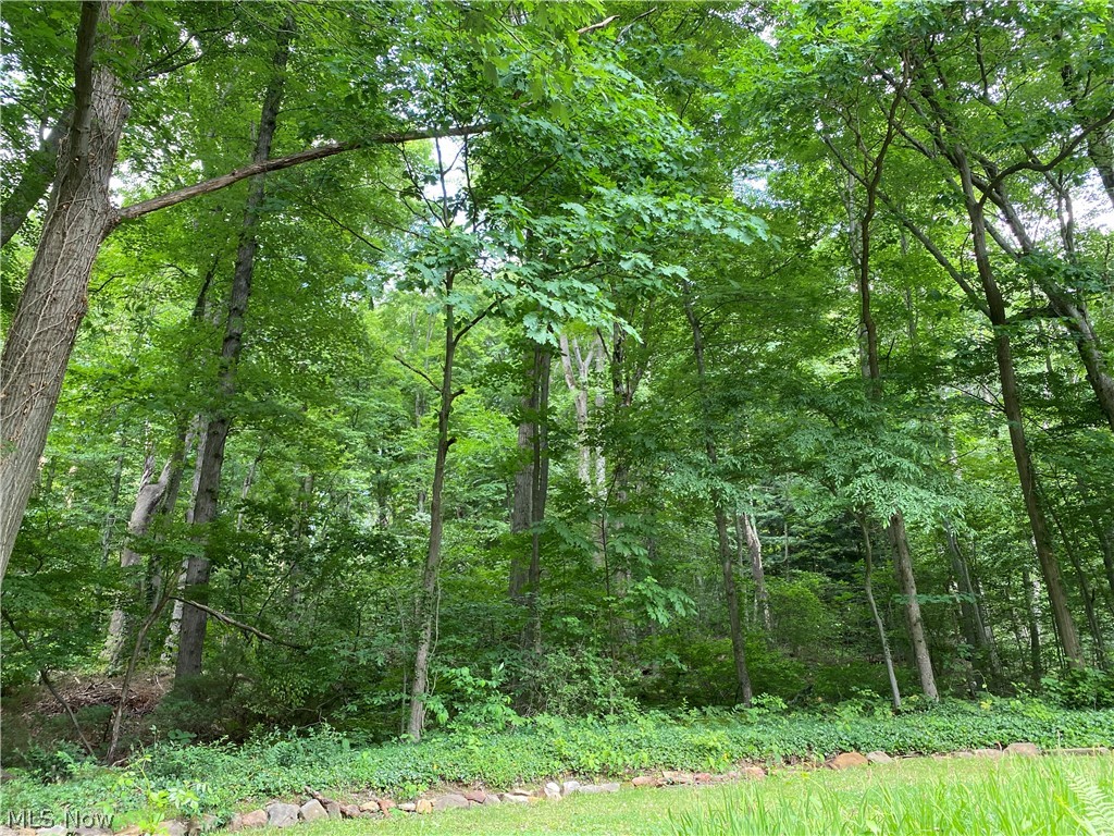 17079 Cats Den Road Chagrin Falls OH 44023