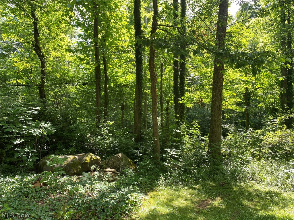 17079 Cats Den Road Chagrin Falls OH 44023