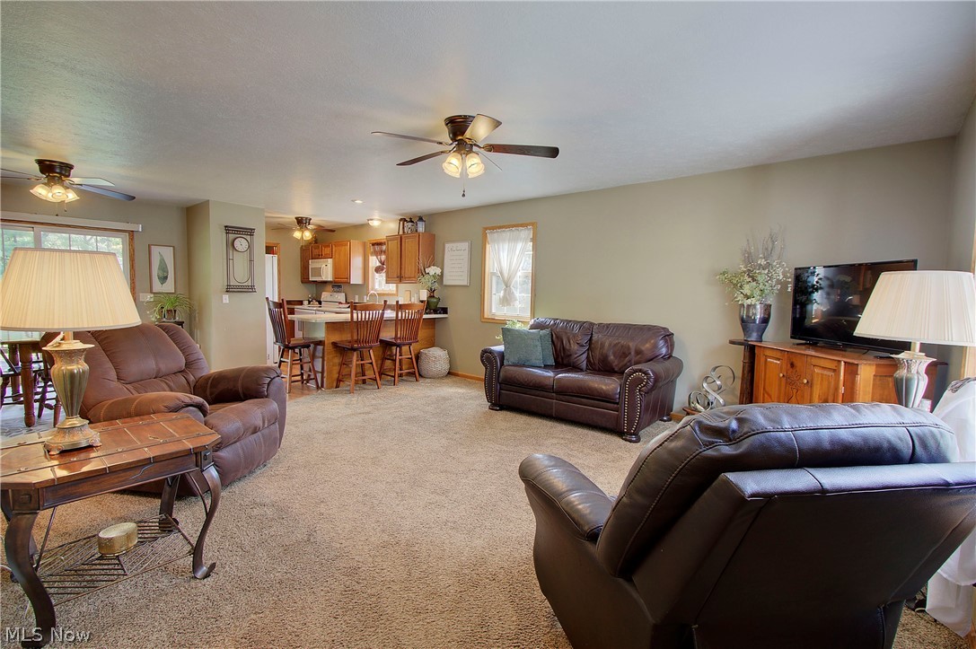 14157 Lisbon Street NE Paris OH 44669