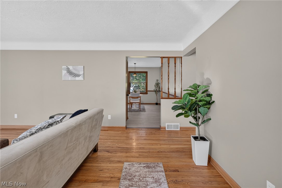 6092 Chidester Drive Canfield OH 44406