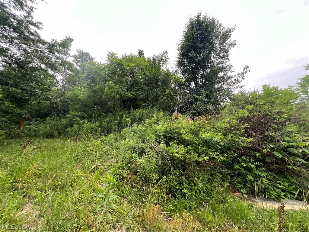 14681 Lisbon Road Salem OH 44460