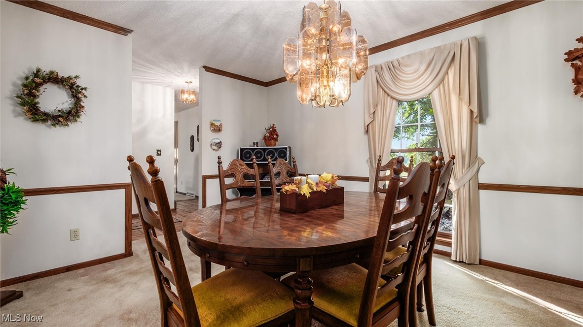 4321 Creamery Road Nashport OH 43830