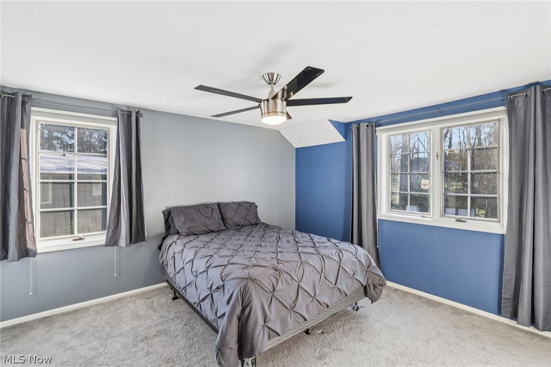 7391 Briarwood Drive Mentor OH 44060