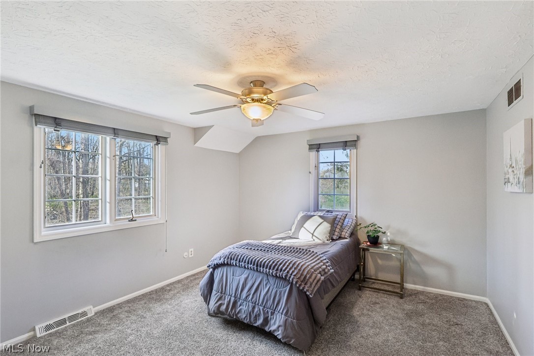 7391 Briarwood Drive Mentor OH 44060