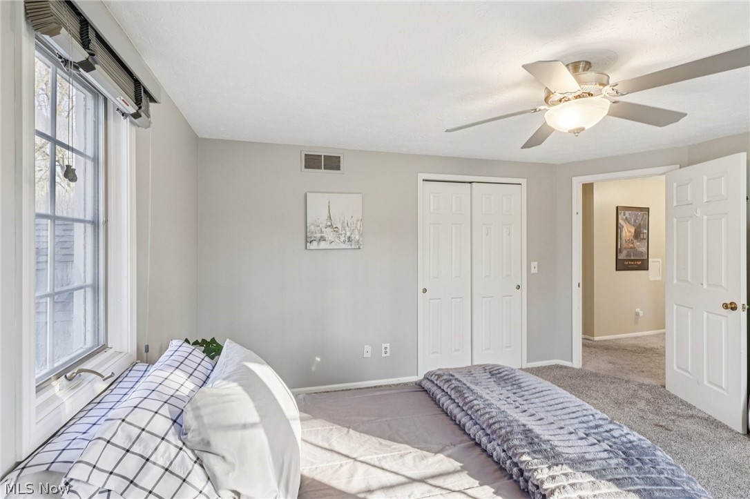 7391 Briarwood Drive Mentor OH 44060
