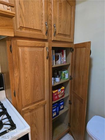 10004 Mccallum Avenue NE Alliance OH 44601