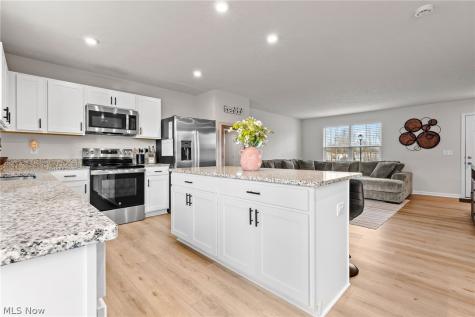 218 Leather Leaf Drive Elyria OH 44035