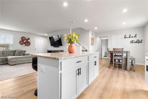 218 Leather Leaf Drive Elyria OH 44035