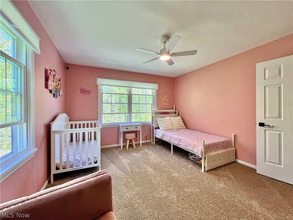 8725 Quail Circle Kirtland Hills OH 44094