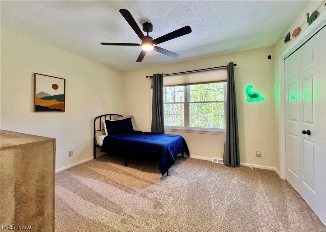 8725 Quail Circle Kirtland Hills OH 44094