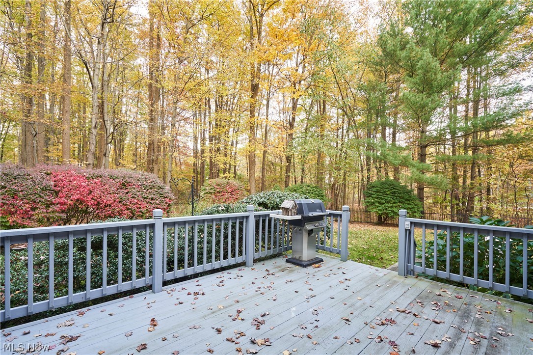 11750 Derbyshire Lane Auburn OH 44023