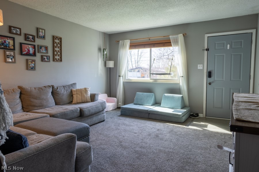 957 Carnegie Avenue Akron OH 44314