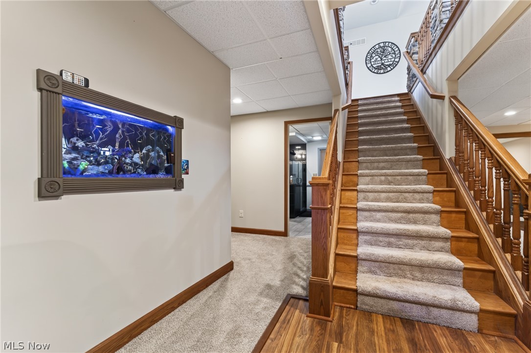 4875 Tree Line Trail New Middletown OH 44442