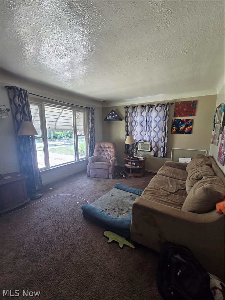 1715 Merl Avenue Cleveland OH 44109