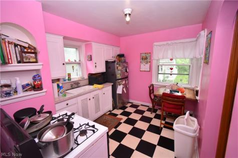 4137 W 157th Street Cleveland OH 44135