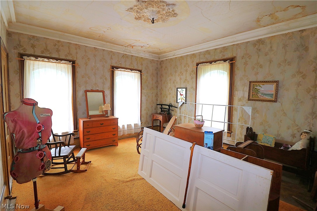 5144 State Route 113 Bellevue OH 44811