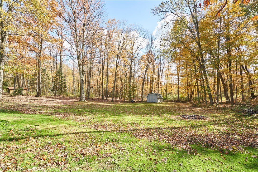 8585 Carmichael Drive Chesterland OH 44026