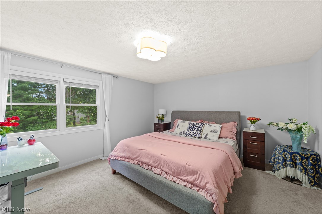 34404 Bramble Lane Solon OH 44139